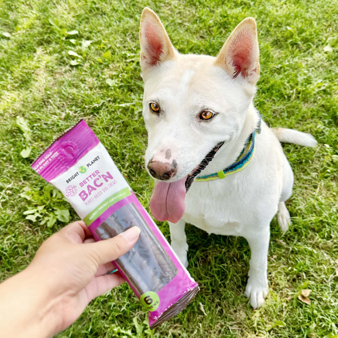 NEW Better Bac'n Chews 6ct – Bright Planet Pet LLC